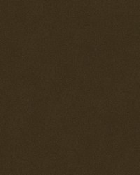 Statuesque 34328 6 Cocoa by   