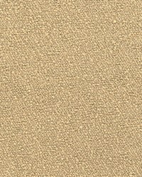 34361 34361.16 by  Kravet 