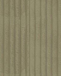 34368 116  by  Kravet 