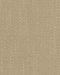 34386 16  by  Kravet 