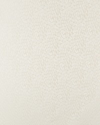 KRAVET BASICS 34412 1 by  Kravet 