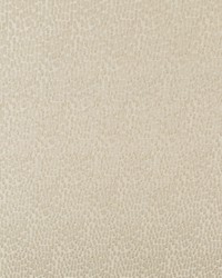 KRAVET BASICS 34412 111 by  Kravet 