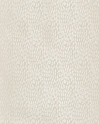 KRAVET BASICS 34412 116 by  Kravet 