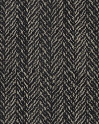 Craftwork Ink by  Kravet 