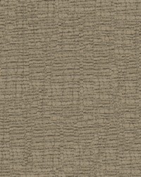 Clever Cut Truffle by  Kravet 