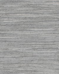 New Horizons Shadow by  Kravet 