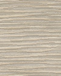 New Horizons Birch by  Kravet 