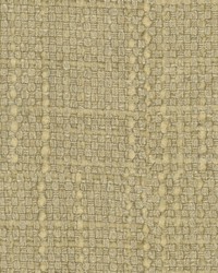 Conceptual Chardonnay by  Kravet 