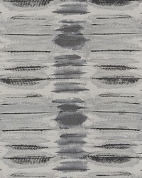 Tantino 34596 11 Charcoal by  Kravet 