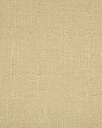 34636 16  by  Kravet 