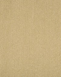 34637 16  by  Kravet 