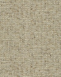 Benefit 34664 16 Jute by  Kravet 