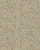 Kravet BENEFIT JUTE