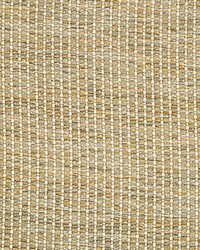 34665 411 by  Kravet 