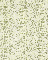 34748 13  by  Kravet 