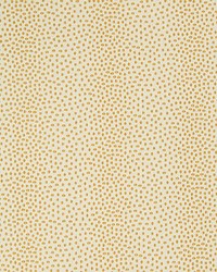 34748 16  by  Kravet 