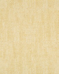 34768 416  by  Kravet 