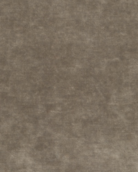 Queens Velvet 34781 285 Mink by   