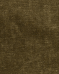 Queens Velvet 34781 830 Gold by   