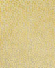 Kravet FLURRIES CITRINE