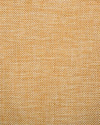 34939 1211  by  Kravet 