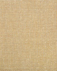 34939 16  by  Kravet 