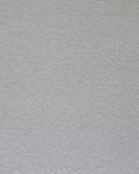 KRAVET COUTURE 34956 101 by  Kravet 