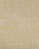 Kravet DEJO BUTTERSCOTCH