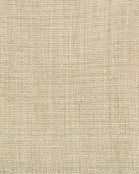 35189 1016 by  Kravet 