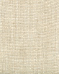 35189 1116 by  Kravet 