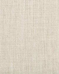 35189 1616 by  Kravet 