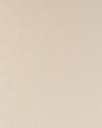 KRAVET BASICS 35455 1 by  Kravet 