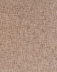 KRAVET BASICS 35455 10 by  Kravet 