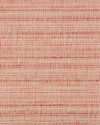 KRAVET BASICS 35471 17 by  Kravet 