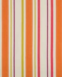 KRAVET BASICS 35489 12 by  Kravet 