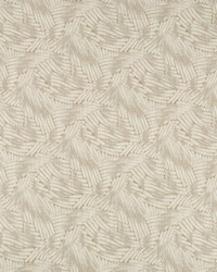 KRAVET DESIGN 35587 16 by  Kravet 