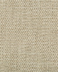 KRAVET DESIGN 35589 16 by  Kravet 