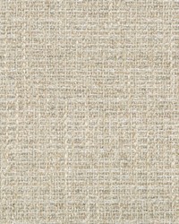 KRAVET DESIGN 35620 11 by  Kravet 