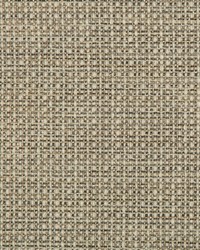 KRAVET DESIGN 35642 1611 by  Kravet 