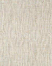 KRAVET DESIGN 35672 16 by  Kravet 