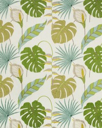 KRAVET DESIGN 35734 314 by  Kravet 