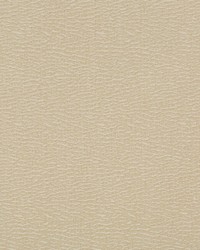KRAVET DESIGN 35737 116 by  Kravet 