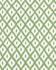 Kravet PITIGALA GREEN