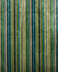 Monterosso 35767 35 Peacock by   