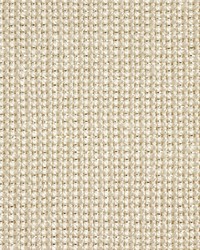 KRAVET BASICS 35785 111 by  Kravet 