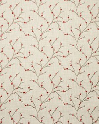 KRAVET BASICS 35793 12 by  Kravet 