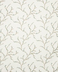 KRAVET BASICS 35793 1615 by  Kravet 
