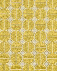 KRAVET BASICS 35795 14 by  Kravet 
