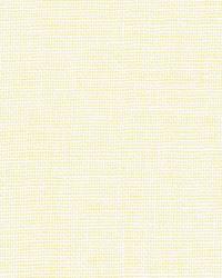 3582 101  by  Kravet 