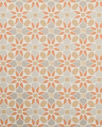 Tiepolo 35882 24 Spice by  Kravet 